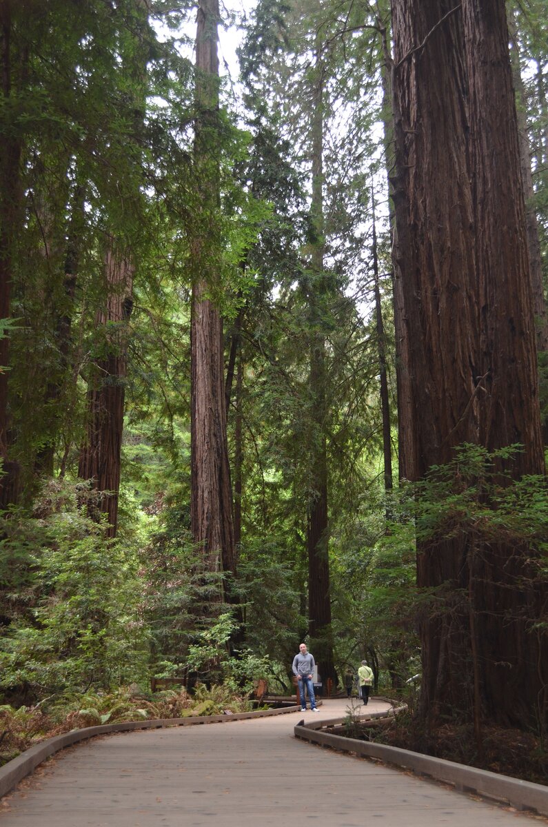 Тут масштаб уже немного видно.