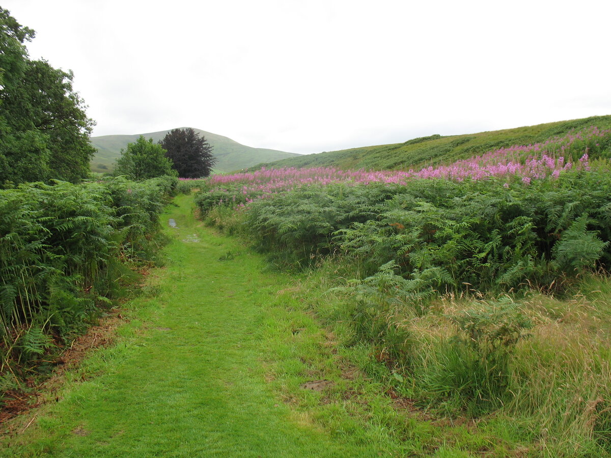 Холмы близ Хермитейджа, Лиддесдейл, Шотландия, фото (С) Илона Якимова 2017