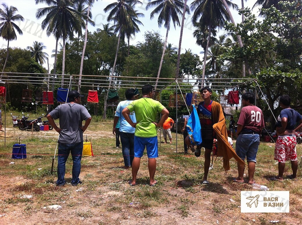 Чисто мужское мероприятие - конкурс певчих птичек. )