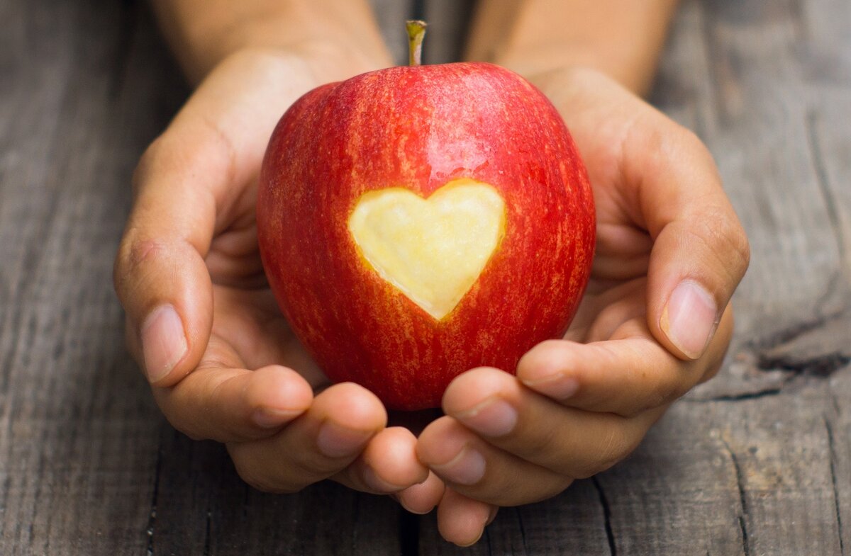 ПРОЩЕНИЕ ГРЕХОВ