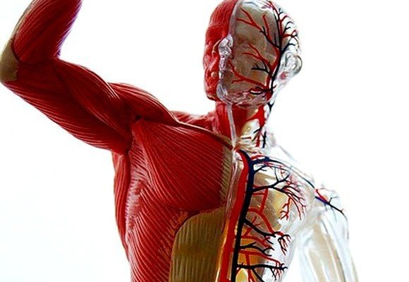 Заряд. Бодрость.