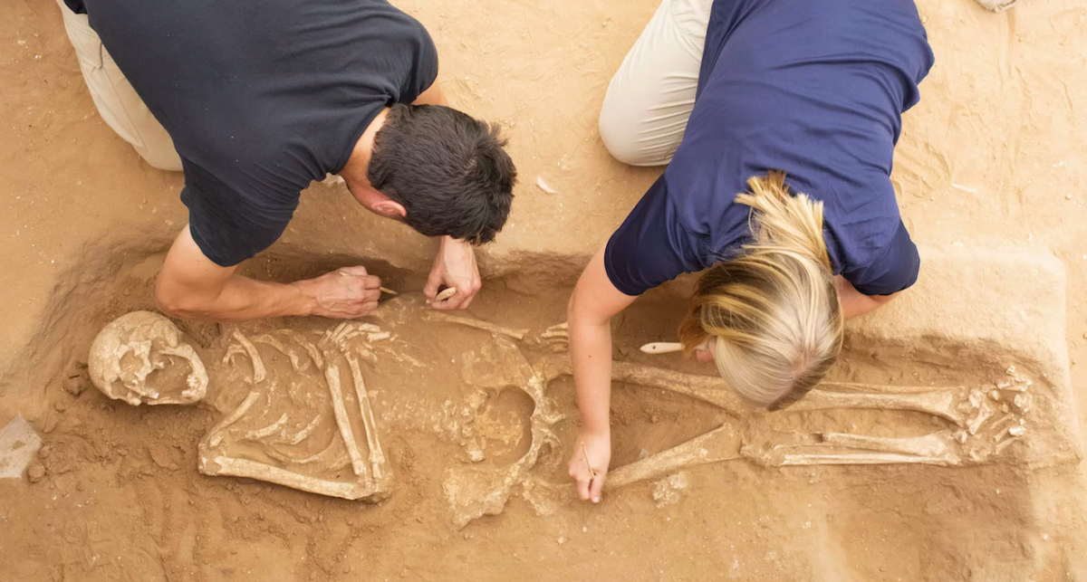  Археологи работают на филистимском кладбище. Фото: Мелисса Аха / Леон Леви
