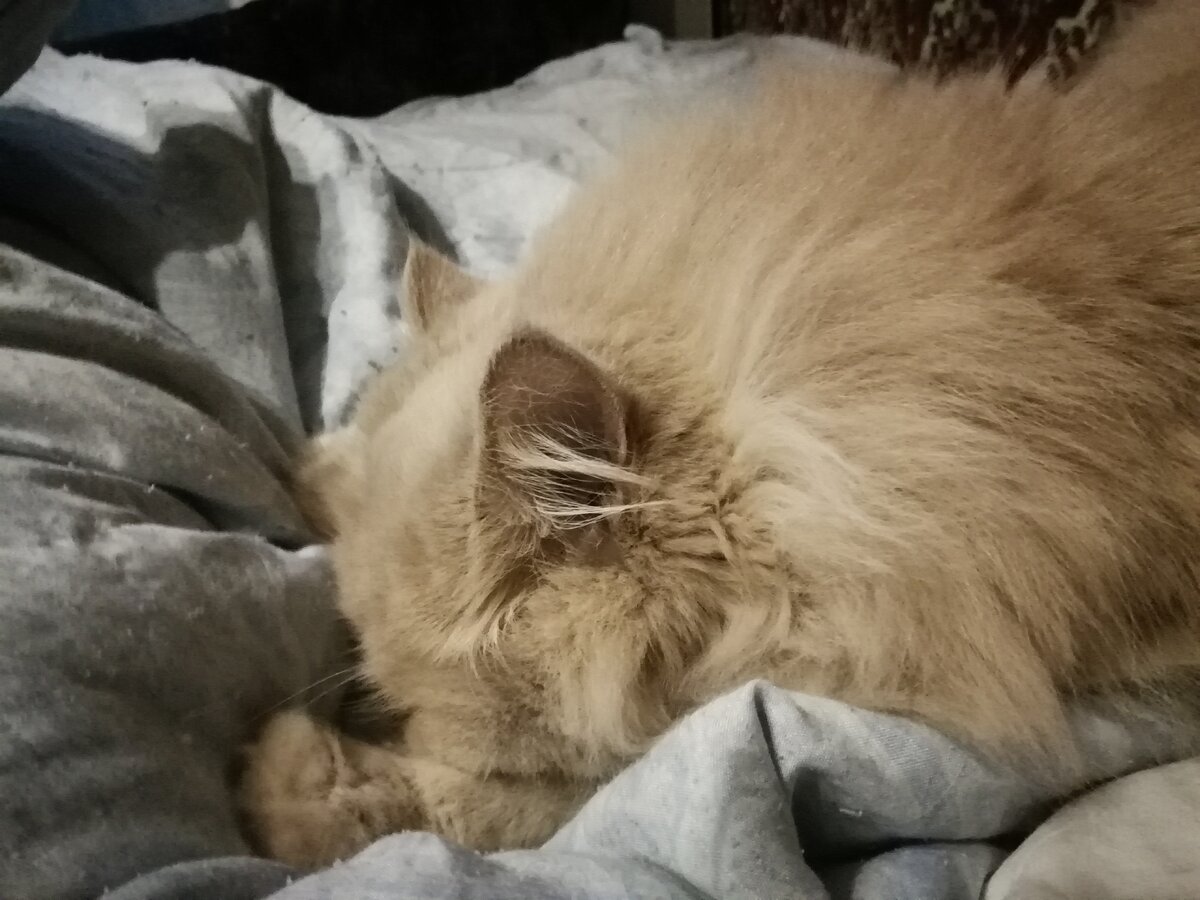 На постели Рыжуха постоянно в трансе. Ничего не  слышит и не видит.