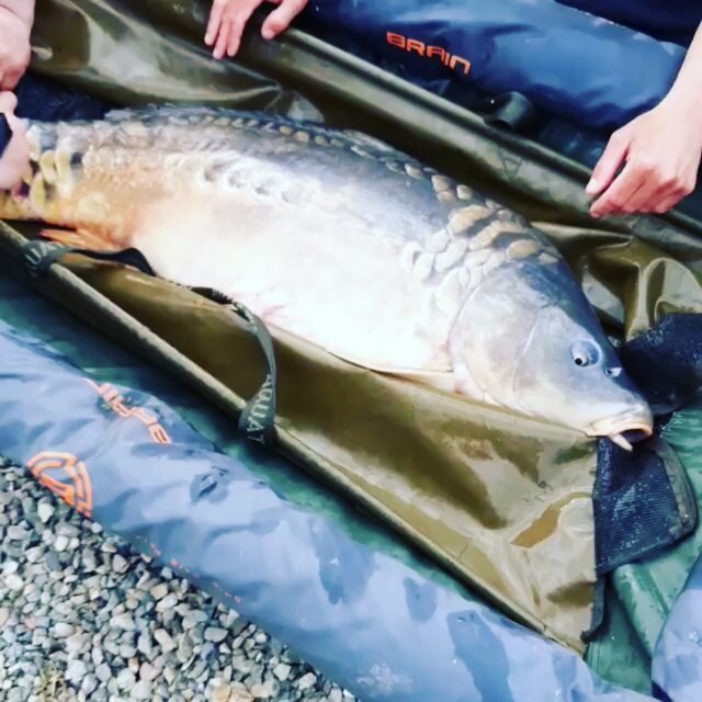 Фото взято из открытых источников в интернете