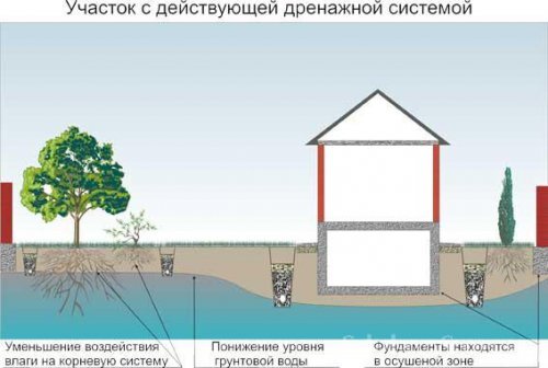 Как сделать дренаж на участке с высоким уровнем грунтовых вод