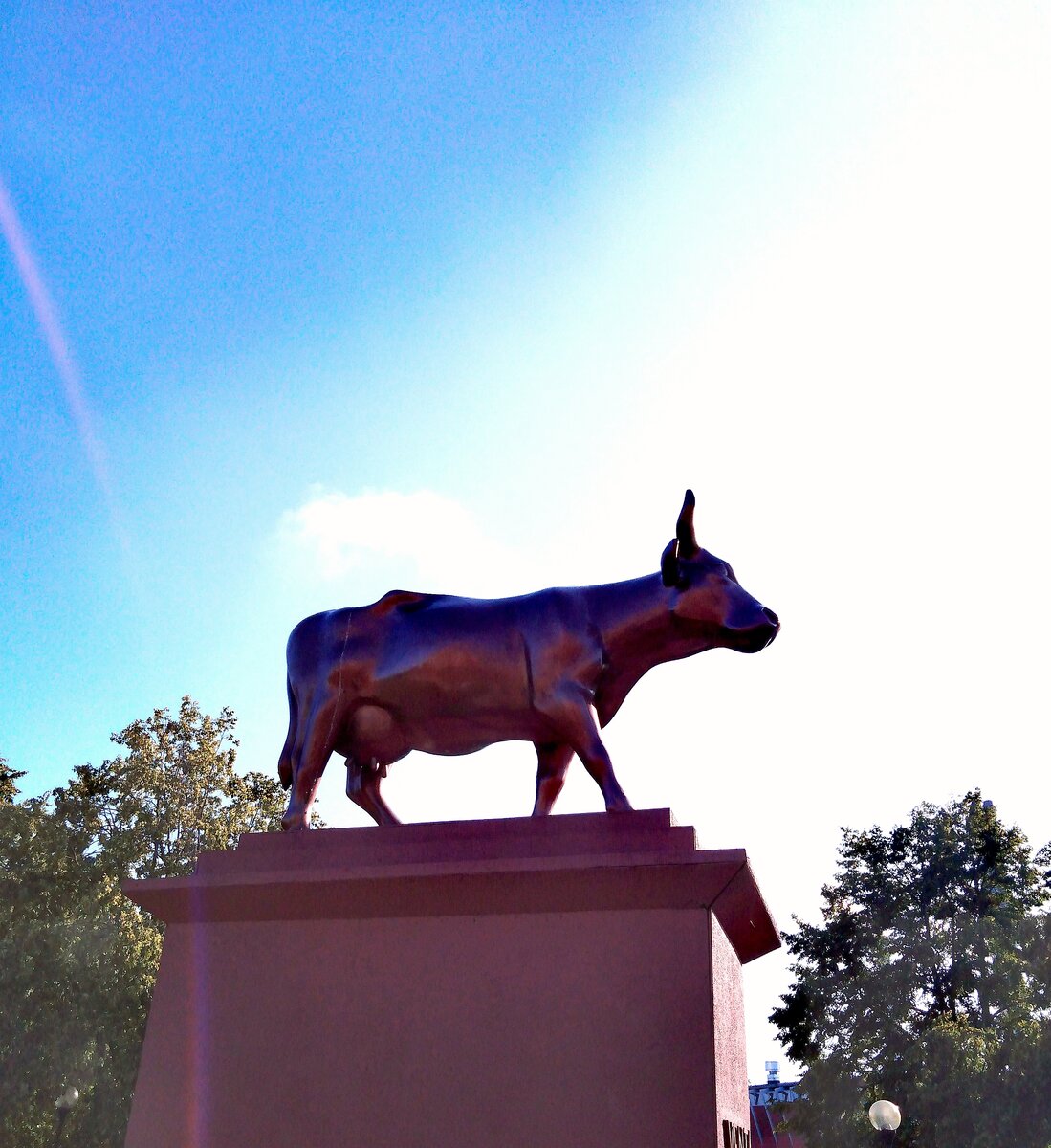 Надпись на постаменте этой коровы - "Вента". Прямо как река, давшая название городу.