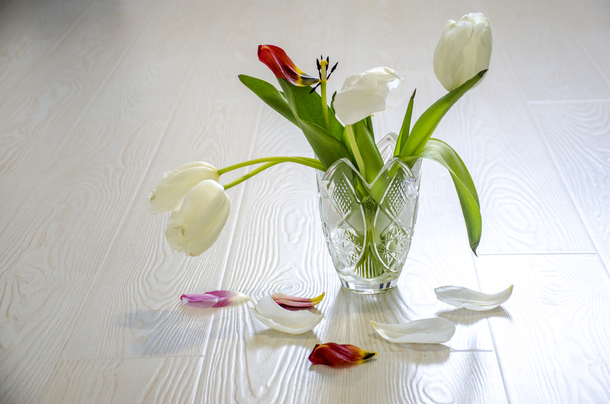 Автор строк и фото: КоМариша