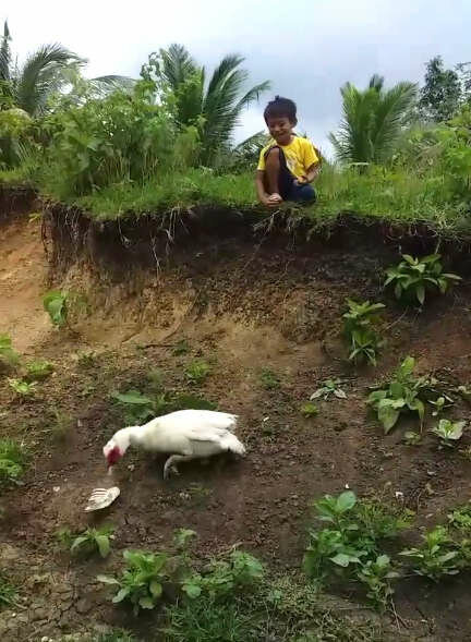 Myla Aguila.  www.thedodo.com