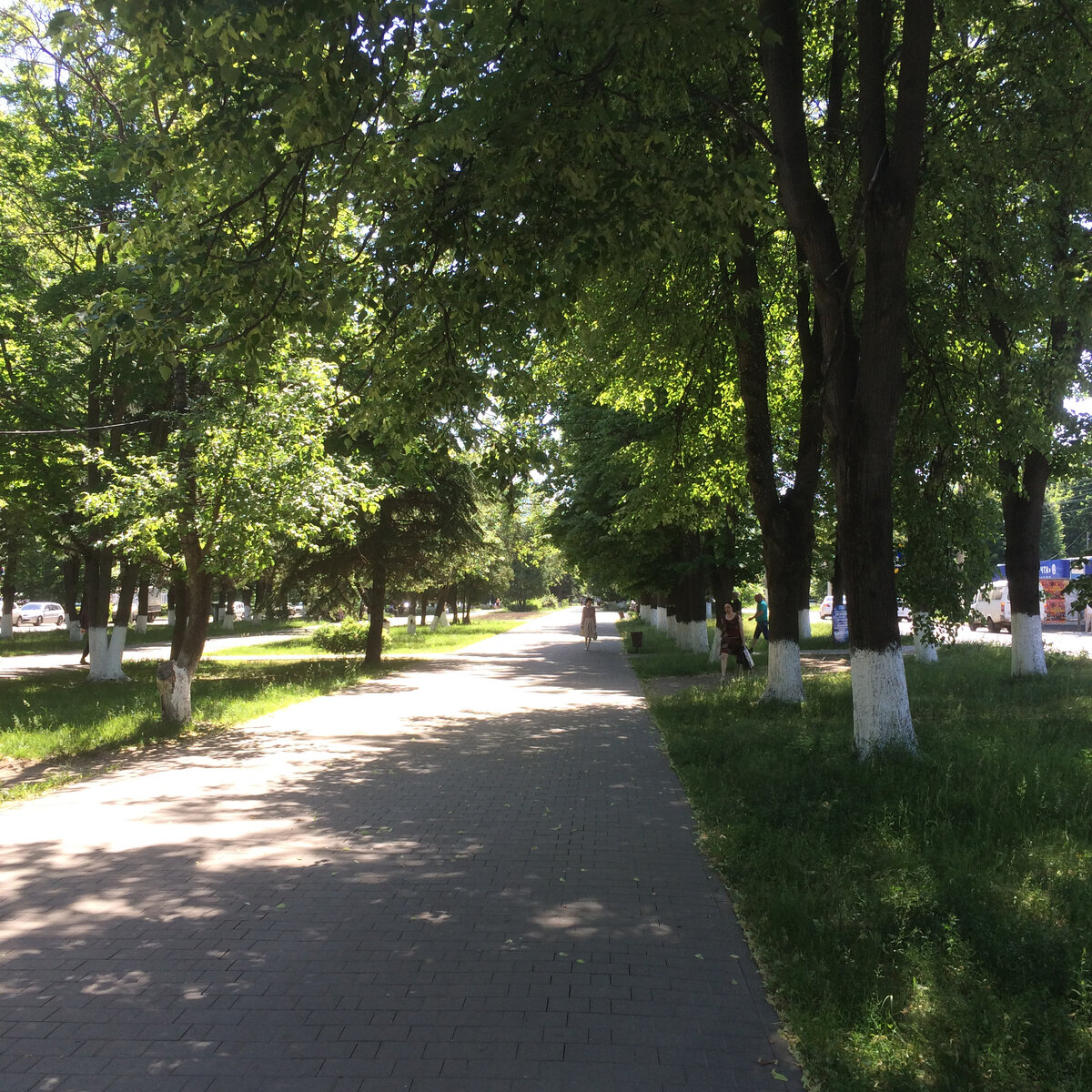 Город новомосковск тульской области достопримечательности