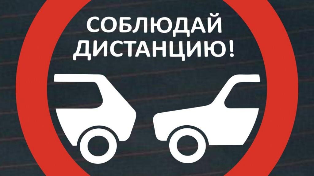 Правильно выбранная дистанция общения поможет избежать неприятностей