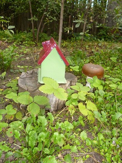 Изготавливается гриб просто: в старую пластиковую или металлическую глубокую миску, которая послужит формой, заливаем разведённый в воде гипс. По своей структуре полученный раствор должен напоминать густую сметану. Далее небольшой кусок арматуры вставляем в середину формы. Ножкой служит пластиковая бутылочка из-под питьевого йогурта, с отрезанным у неё горлышком и донышком. Надеваем на торчащую из формы арматуру. Слегка вдавливаем бутылочку в уже заметно загустевшую смесь. Вновь замешенный гипсовый раствор вливаем в ту самую бутылку.  После того, как гипс затвердеет, освободим от форм получившуюся заготовку. Наждачной бумагой затираем все шероховатости и неровности; красим и… «сажаем» в землю.  