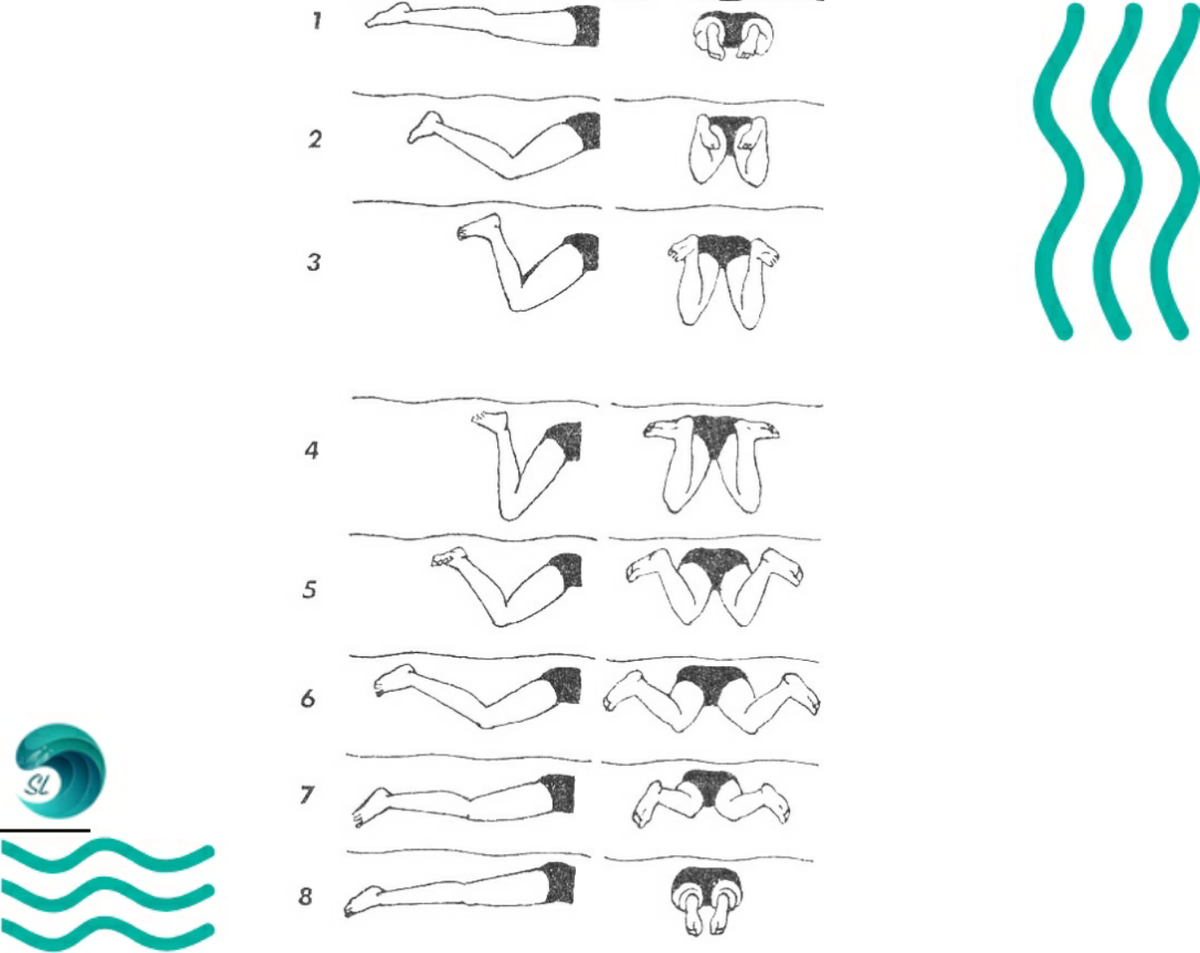 Упражнения научиться плавать. Схема техники плавания брассом. Техника плавания ноги брасс техника. Упражнения для ног в плавании брассом. Брасс техника плавания схема.