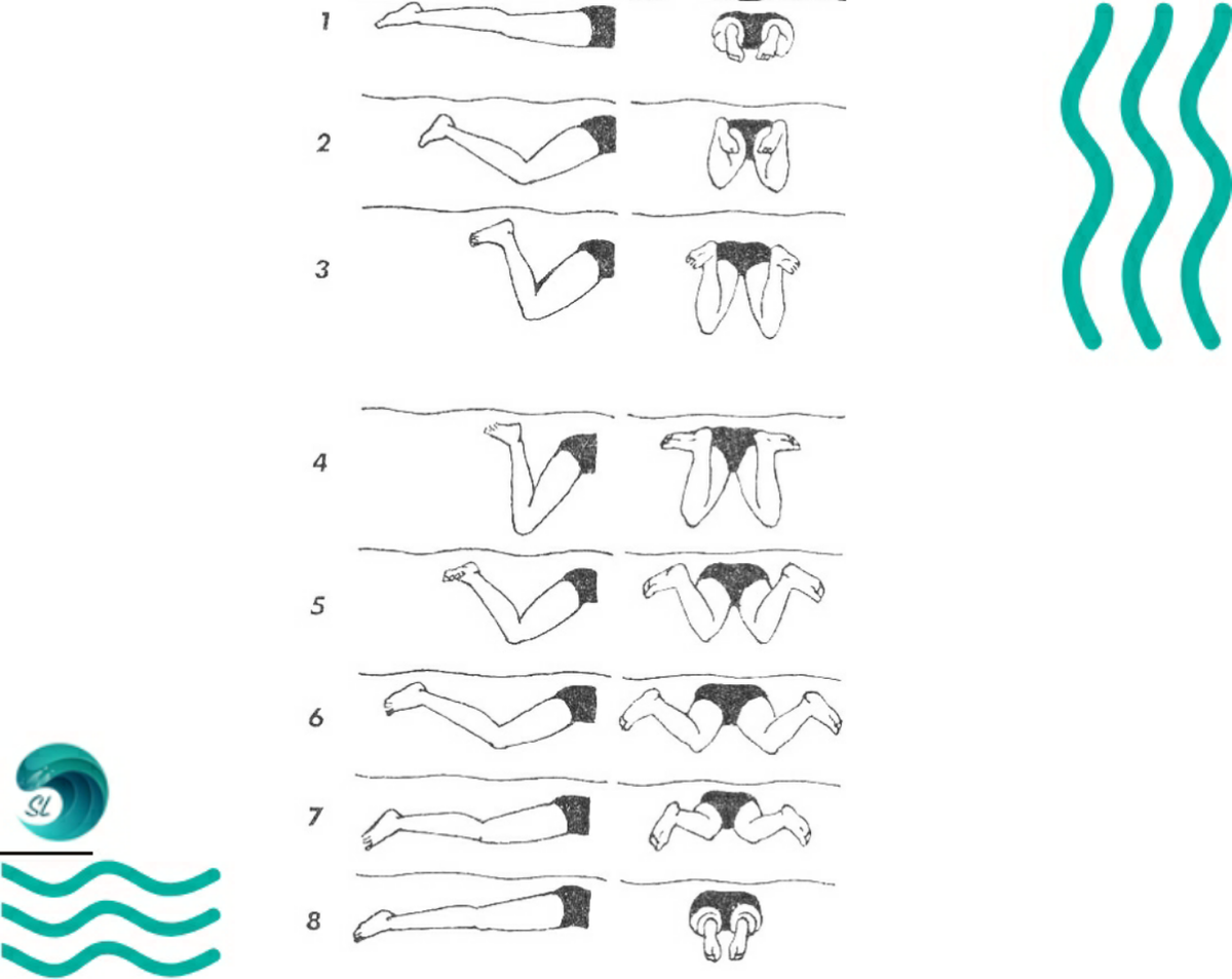 Упражнения для плавания. Брасс ноги движения техника. Техника плавания брассом. Схема плавания брассом. Техника плавания брасс схема.