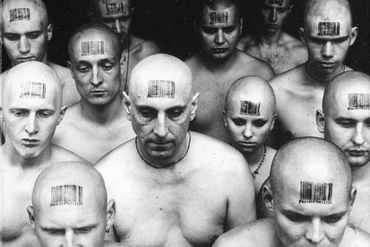 Фото из Интернета.