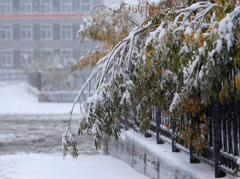 сейчас в Норильске. tass.ru
