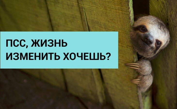 Челлендж происходит от английского challenge, что в свою очередь переводится как «проблема, сложная задача, вызов».