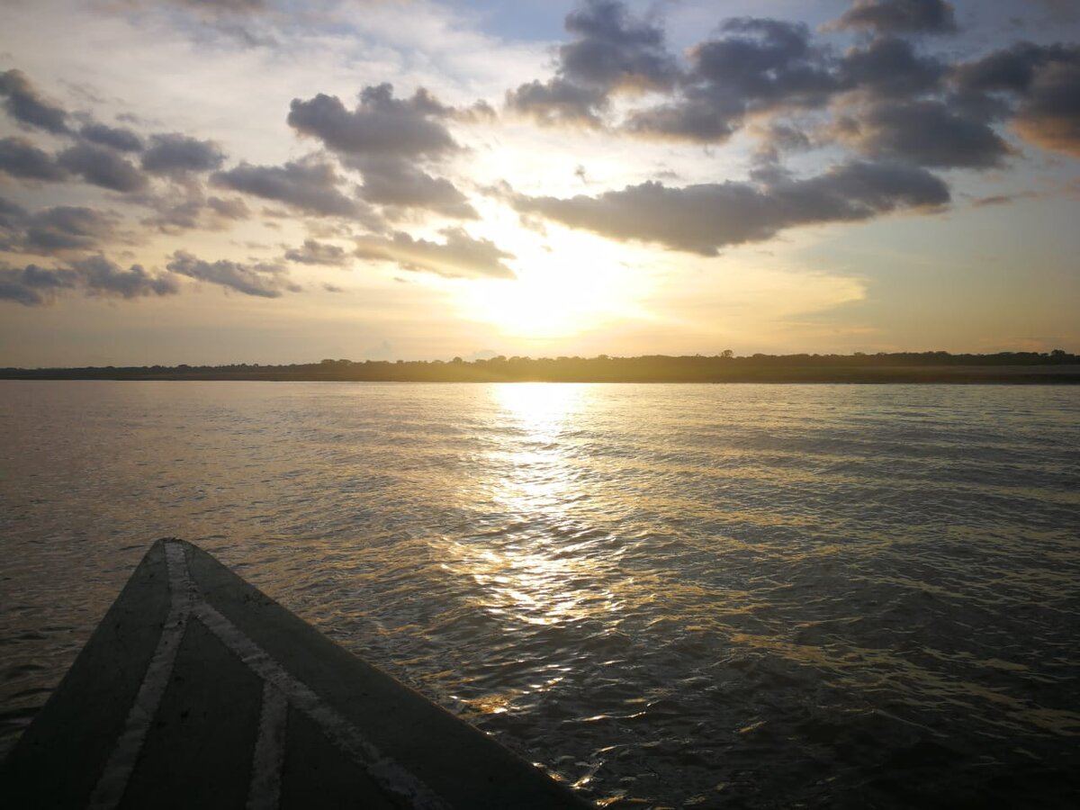 Амазонка на закате дня