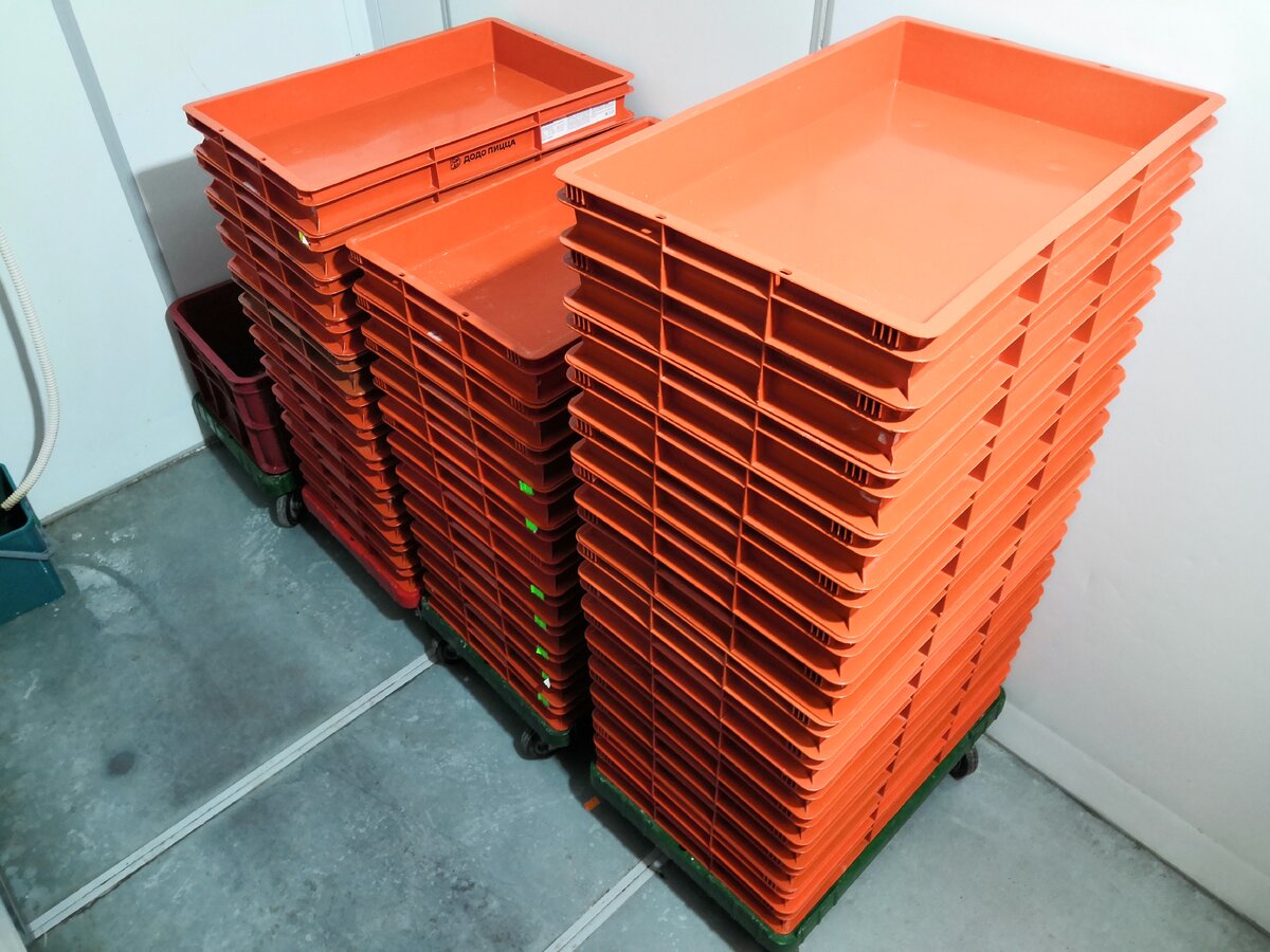  Лотки с тестом 25 см, 30 см и 35 см (слева направо)