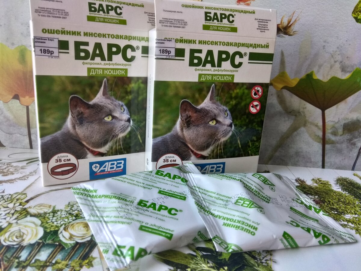  Ошейник против блох и клещей инсектоакарицидный для кошек АВЗ БАРС - отзыв. Фото Гид Парфюм.