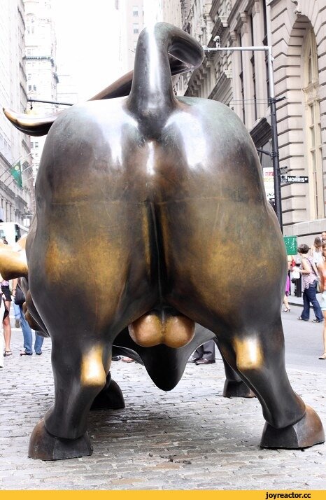 картинка из сети