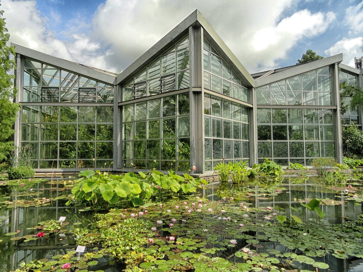 Tropicarium, Франкфуртский Ботанический сад