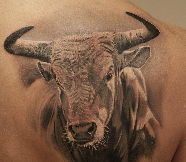 Тату бык графика | Блог про татуировки pavuk.ink