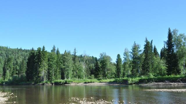 Без компаса в тайгу нельзя.