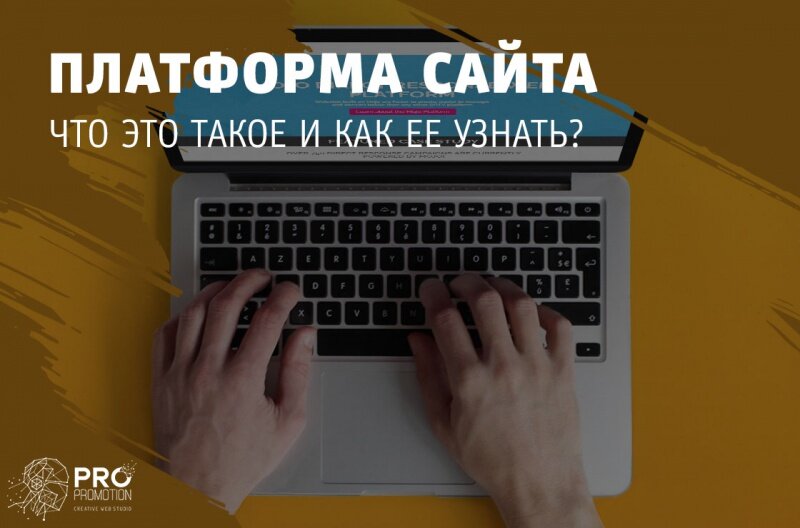 Платформа под сайт. Платформа для сайта. Платформа. Определить на какой платформе сайт.