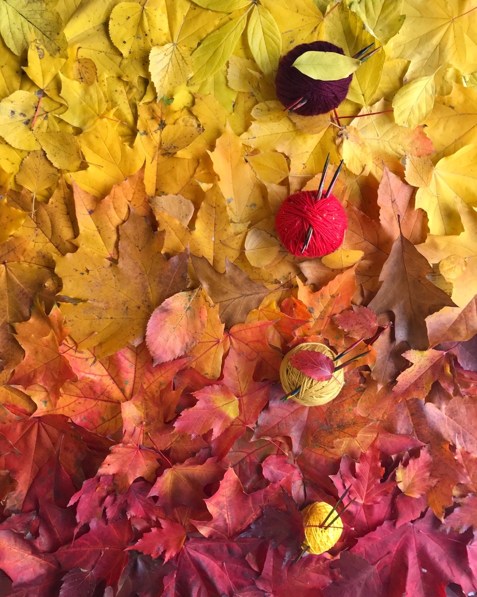 Осеннее настроение 