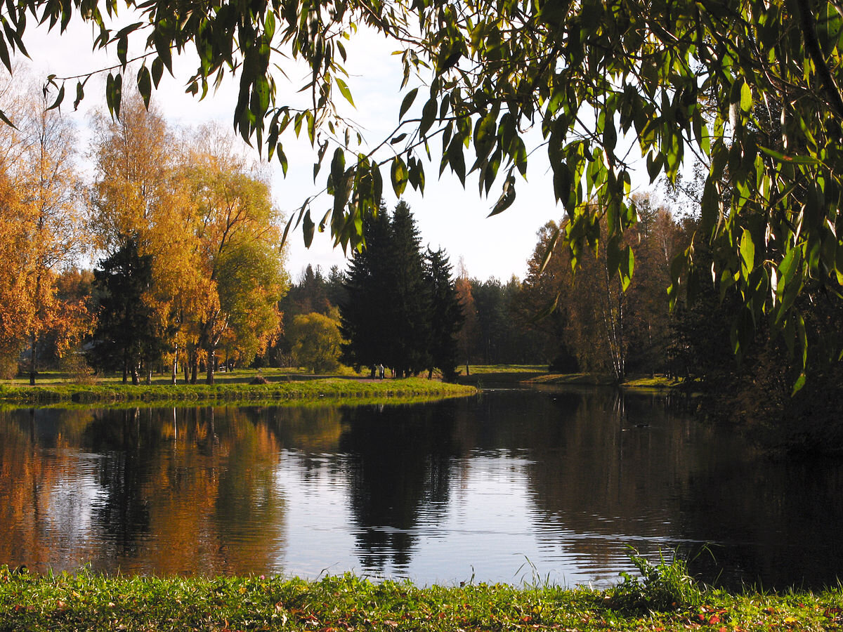 Pavlovsky Park      https://commons.wikimedia.org