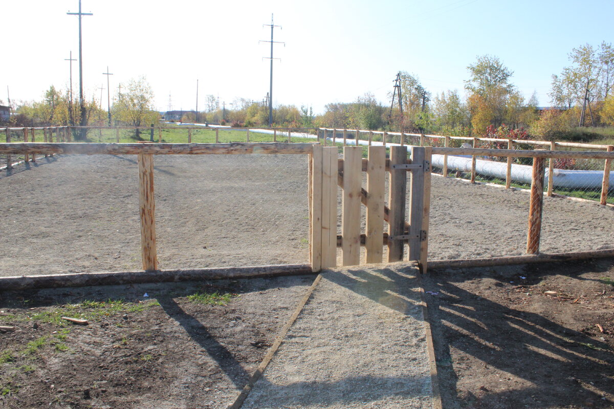 Площадка для выгула собак