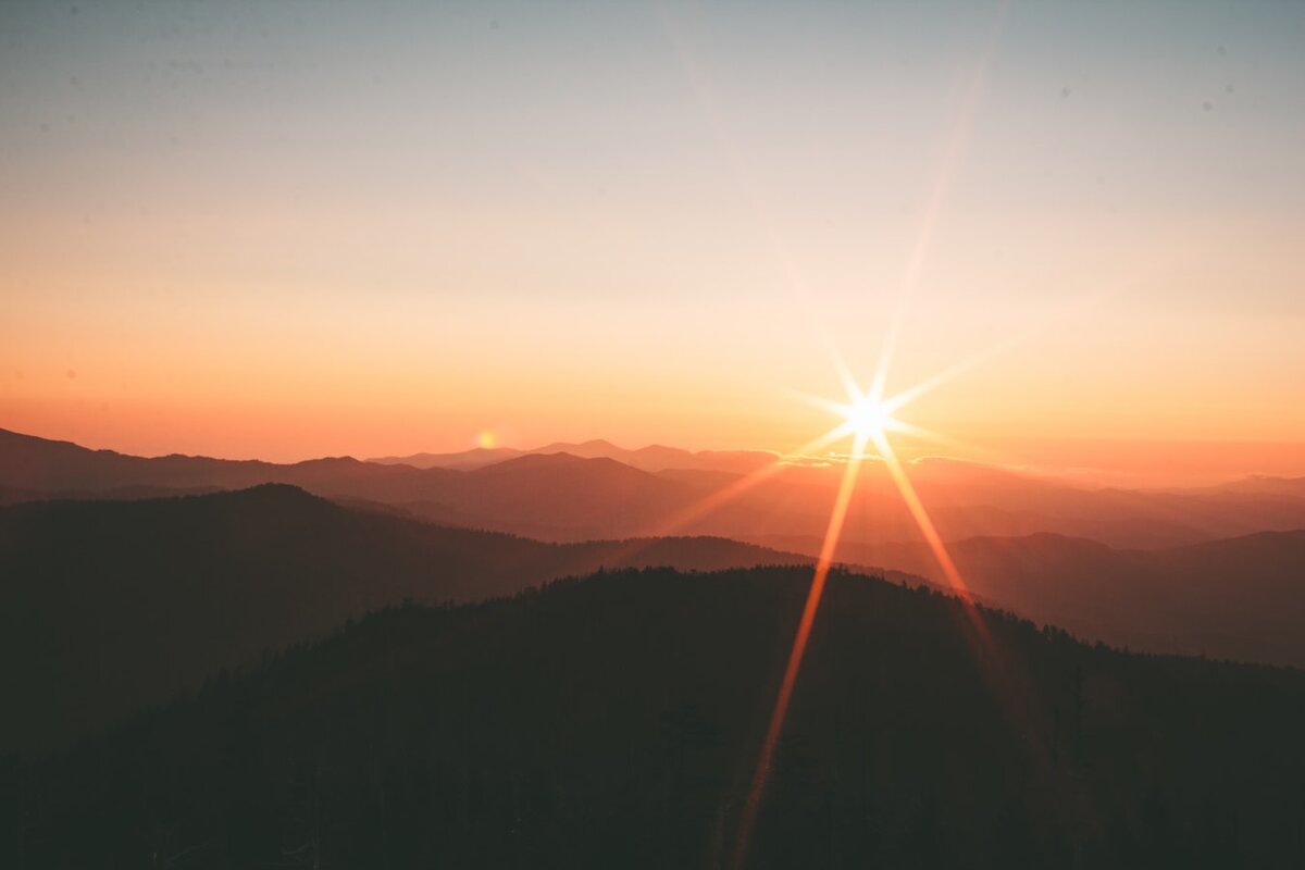 https://unsplash.com/photos/dQejX2ucPBs