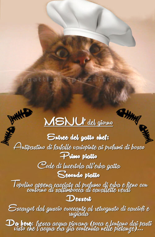 https://igatti.spazzarte.net/wp-content/uploads/2016/04/Infografica-menu-gatto-selvatico.jpg
