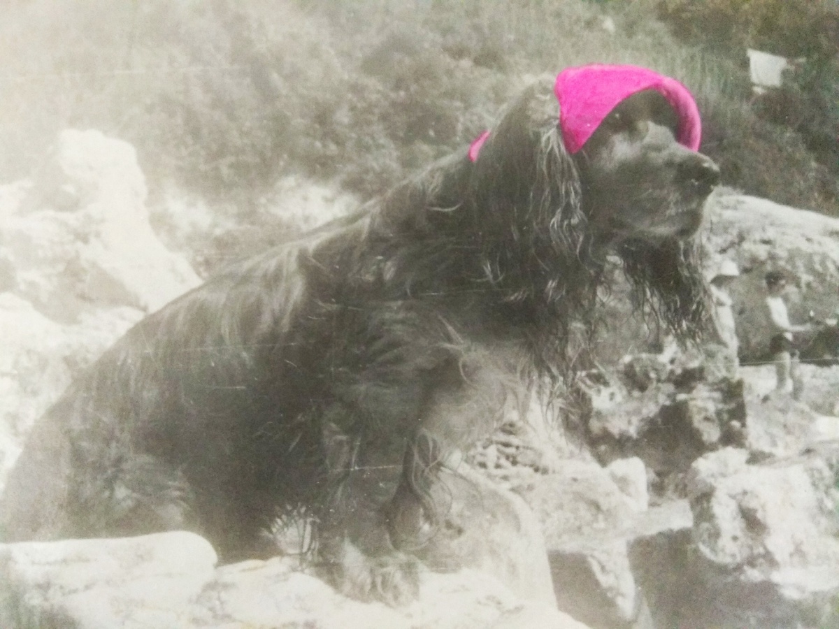 Это Грэй в роли спасательницы Малибу