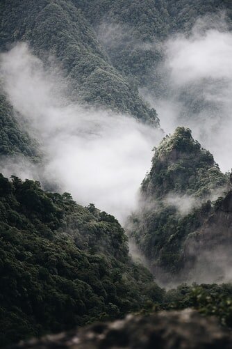 https://images.unsplash.com/photo-1507513319174-e556268bb244?ixlib=rb-1.2.1&ixid=eyJhcHBfaWQiOjEyMDd9&auto=format&fit=crop&w=334&q=80
