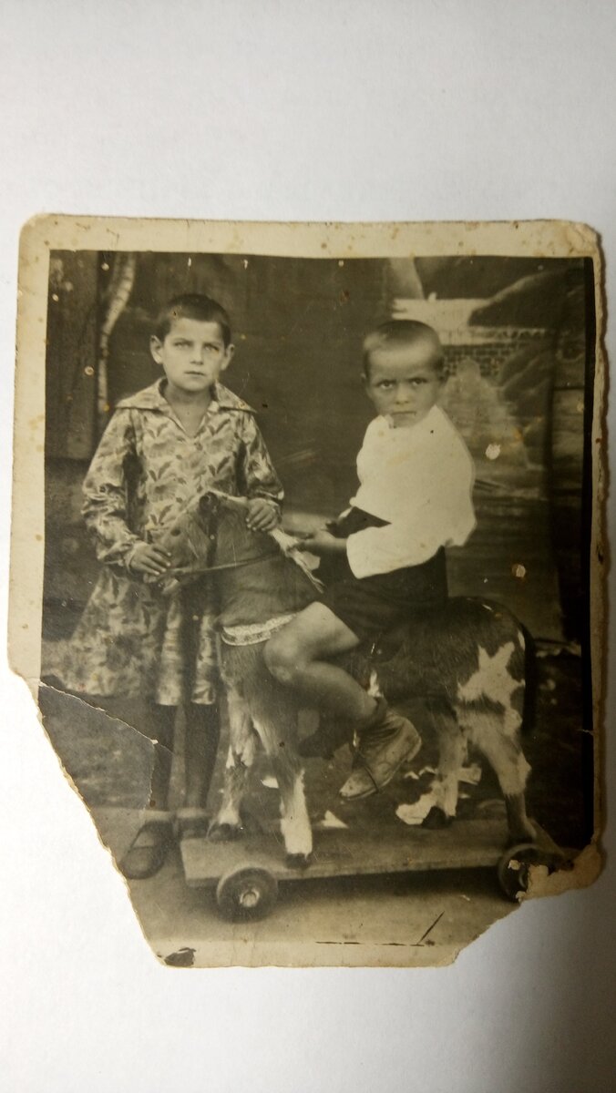 Фото Вещистка  