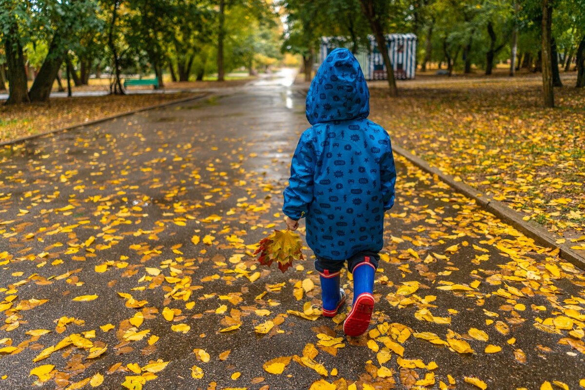 Источник: https://www.pexels.com/photo/photo-of-kid-wearing-raincoat-while-walking-on-park-3036397/
