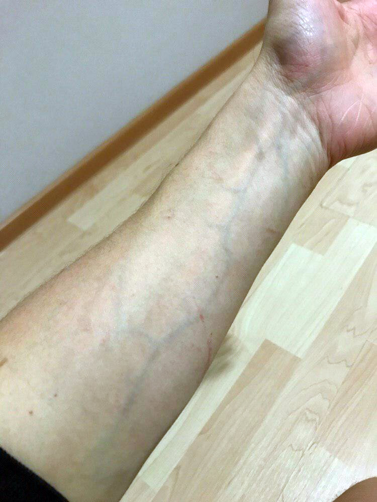 до касания моего пса Джеди