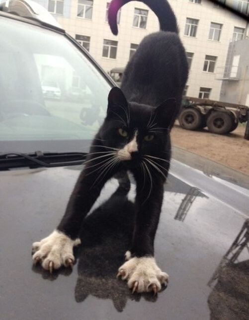 Ну привеееет!