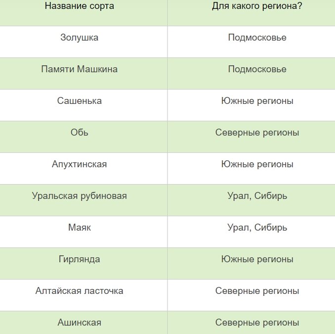 черевишня (дюк) шпанка. вишня сорт шоколадница. опыление вишни. вишня обыкновенная быстринка. сорта опылители вишни.