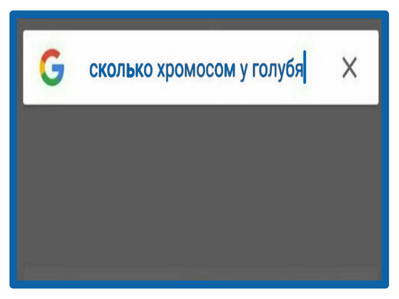 Оформление мема - "Дземчик".