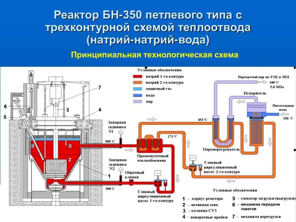Бн-1200 теплоноситель. Ввэр 1200 на быстрых нейтронах. Быстрый натриевый реактор схема. Ядерный реактор бн-800. Реактор размножитель на быстрых нейтронах.