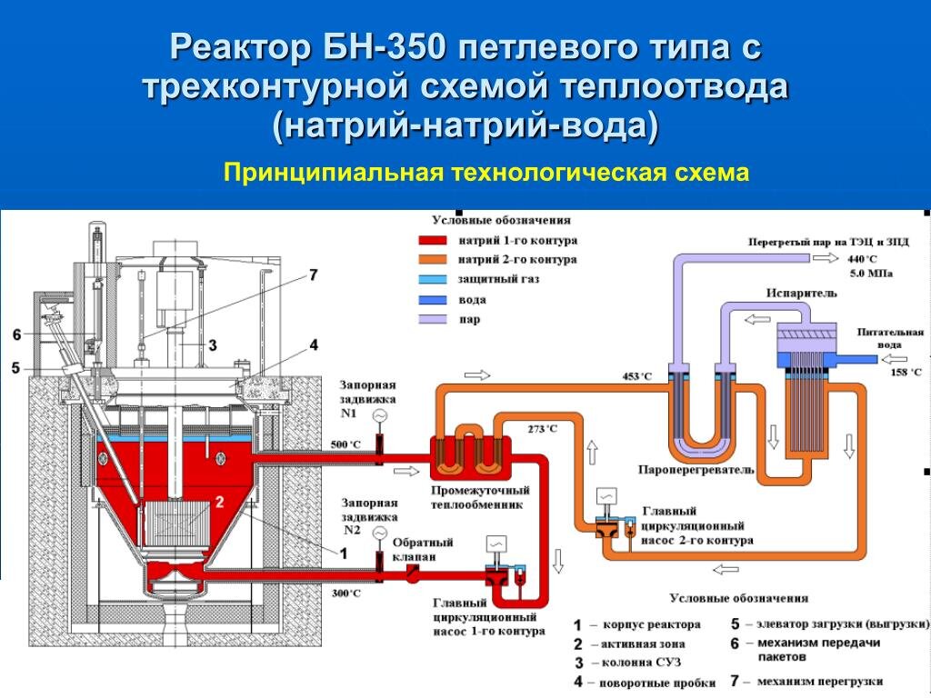 Контура теплоотвода реактора БН-350.