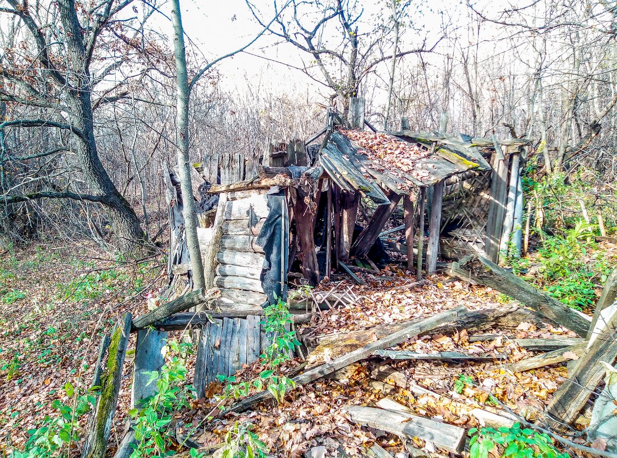 Заброшенный дом с местом отдыха у пруда и находки, оставшиеся от его  прежних жителей | Прекрасное рядом | Дзен