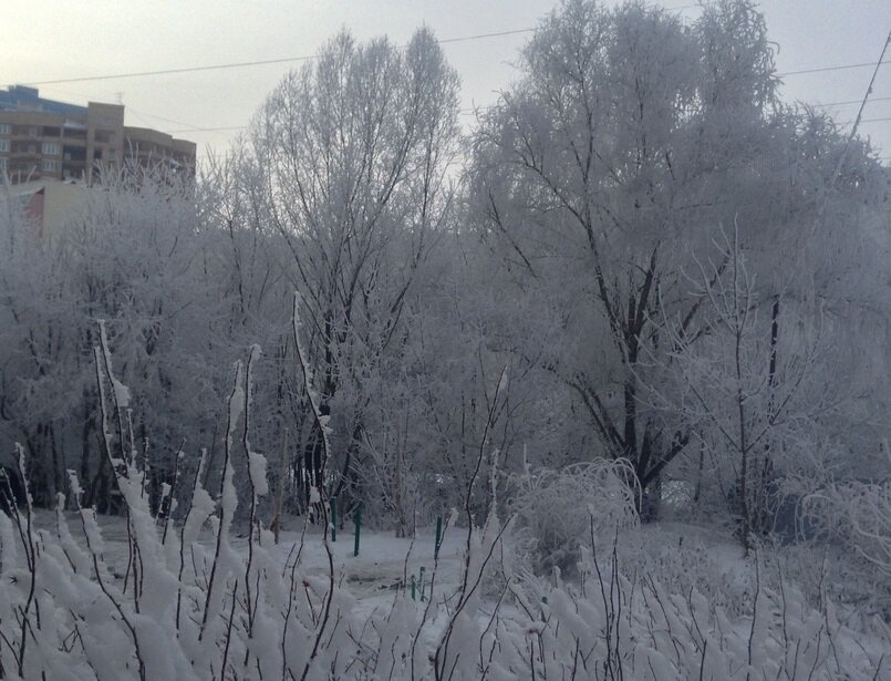 Подписывайтесь на мой канал и ставьте лайки!