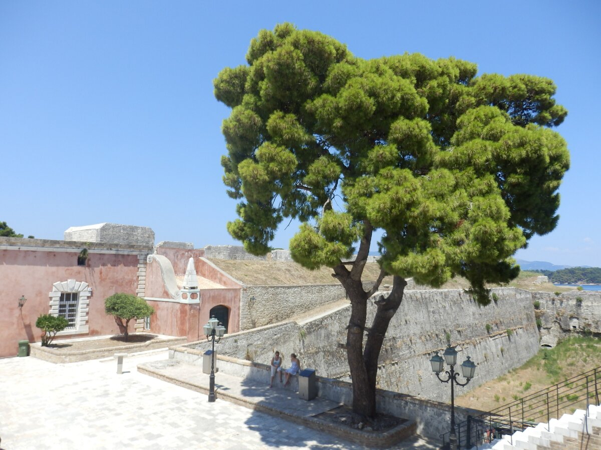 Греция, о. Корфу. Фото мое.