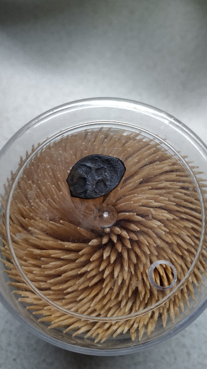 Пуло Псковское. Двуглавый орёл.