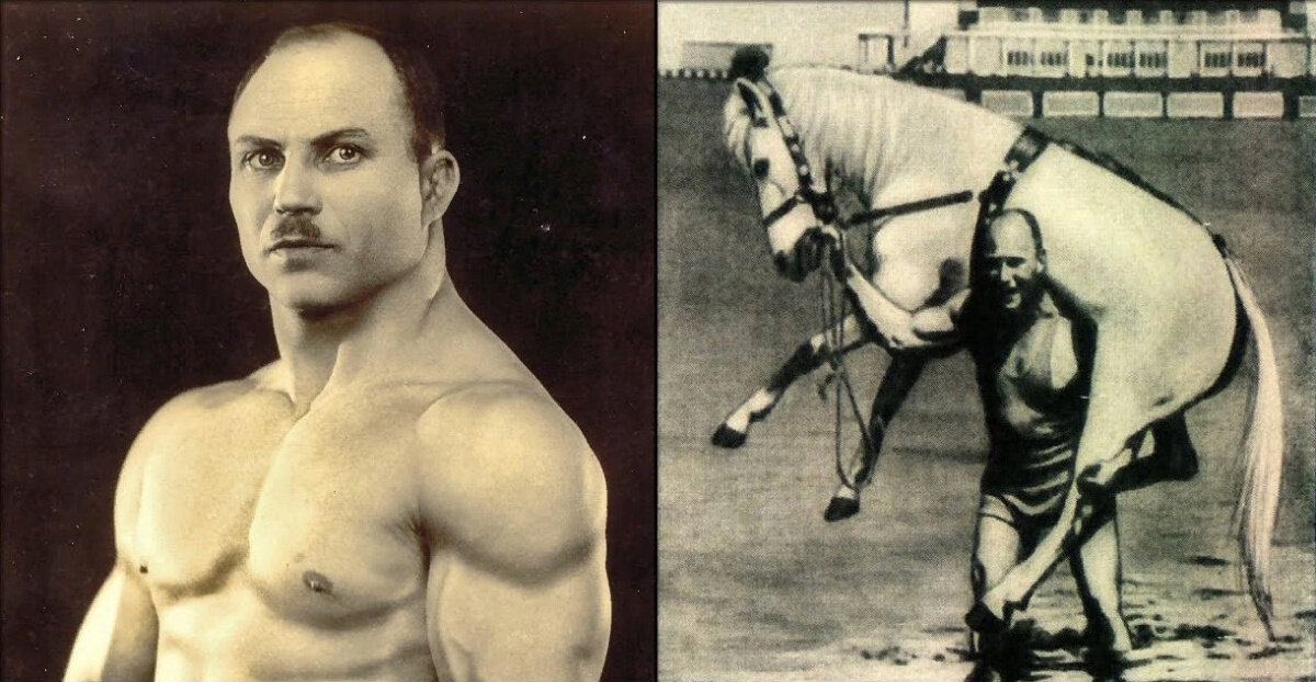 Несёт на плечах раненую во время войны лошадь