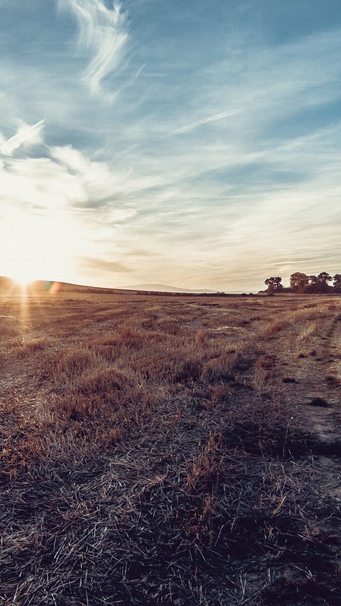Мир ждёт тебя, а ты сидиш и ждешь его！