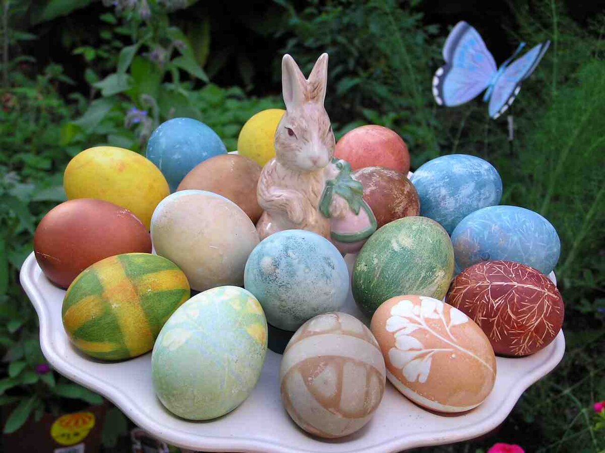 Яндекс-картинки, свободный доступ